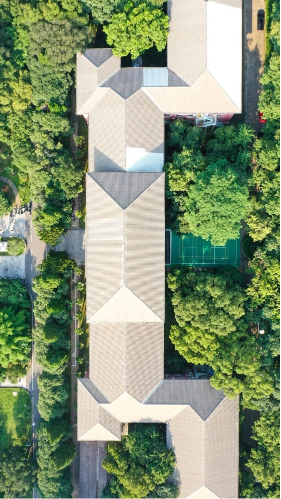 早安洪山 · 东方美韵桂子山 - 武汉市洪山区人民政府门户网站